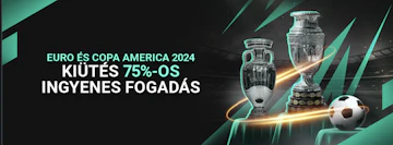 Screen Shot 2024 06 28 at 11 01 14