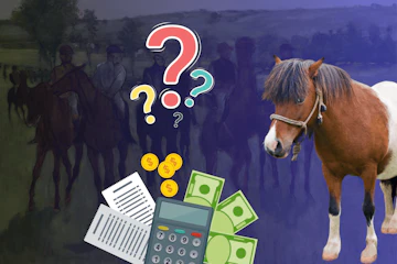 Lóverseny adózás