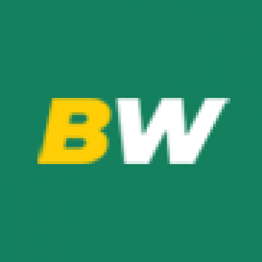 Betwinner Vélemények