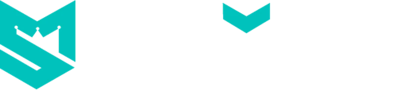 Spinoli logo white 1